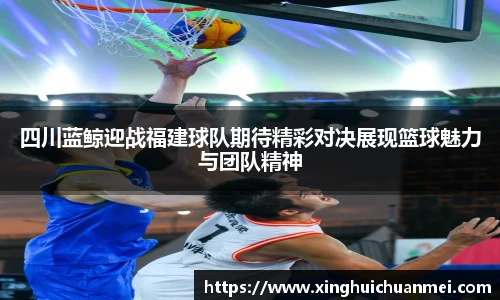 四川蓝鲸迎战福建球队期待精彩对决展现篮球魅力与团队精神